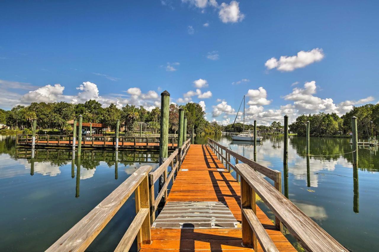 Crystal River House Scalloping And Dock, Gulf 7 Mi! Exteriör bild