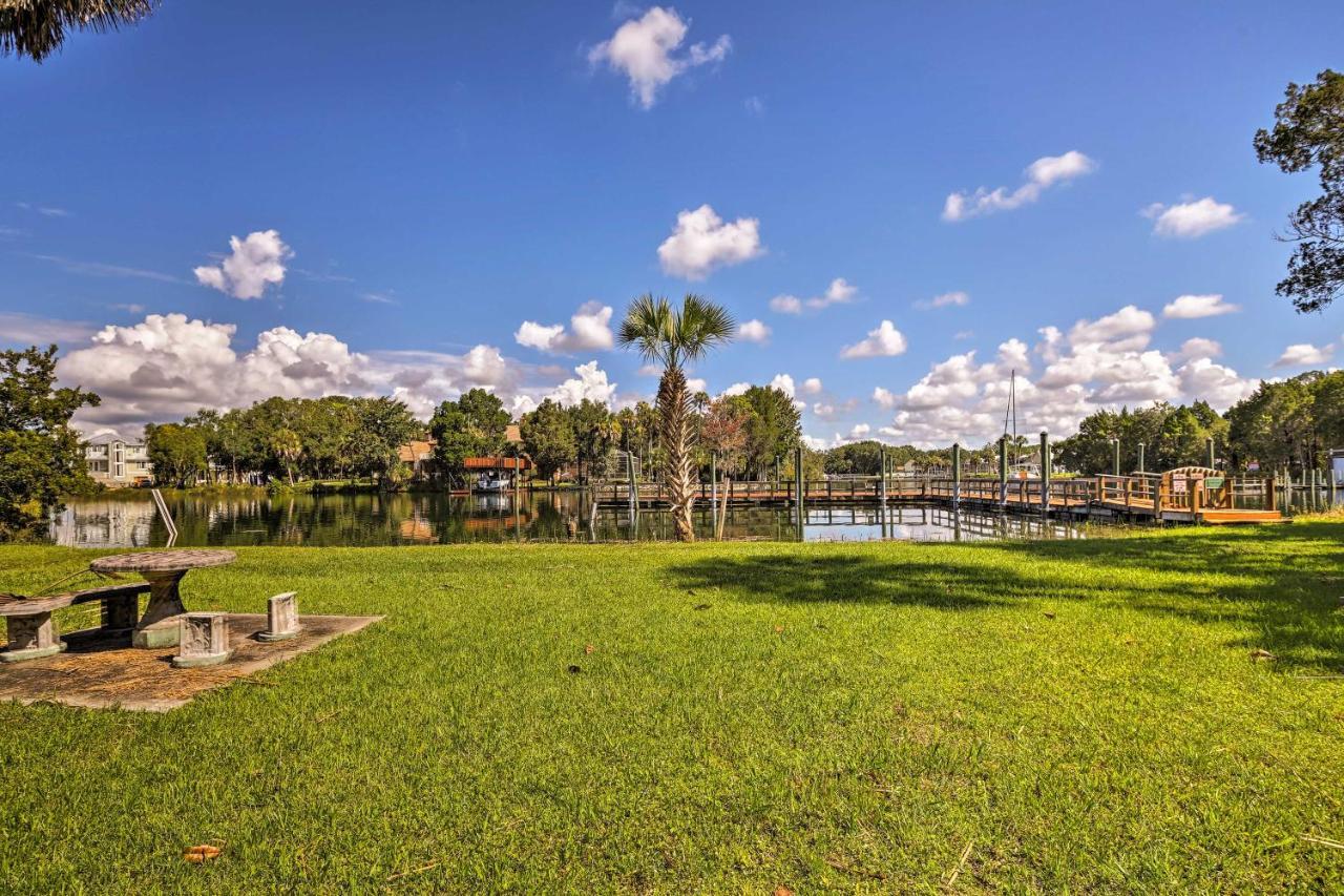 Crystal River House Scalloping And Dock, Gulf 7 Mi! Exteriör bild